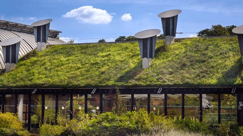 Green Roofing: A Sustainable Solution for Your Roof | Roofing Companies, Storm Damage Experts, Alliance Specialty Contractor